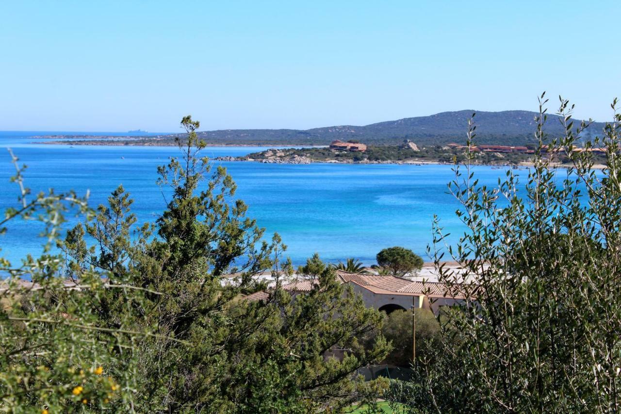 הוילה פורטו רוטונדו Casa Vacanze Il Cisto - Golfo Di Marinella מראה חיצוני תמונה