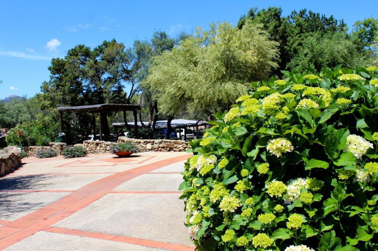הוילה פורטו רוטונדו Casa Vacanze Il Cisto - Golfo Di Marinella מראה חיצוני תמונה